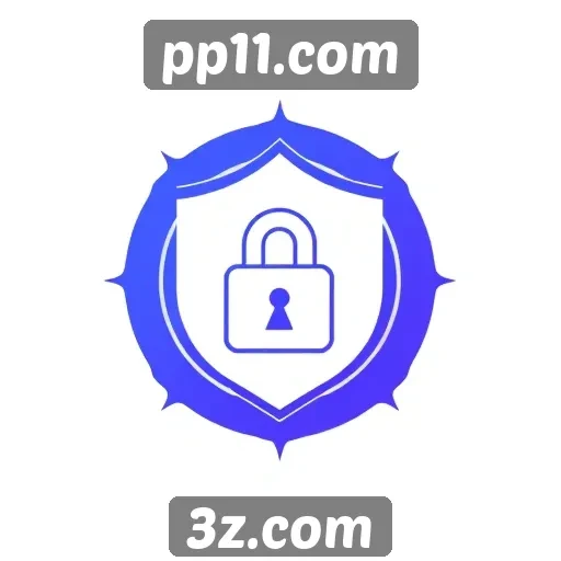 Importância da segurança para usuários do pp11.com