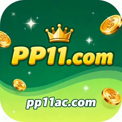 pp11.com